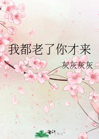 我都老了你才來